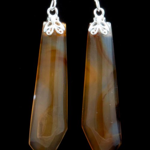 Montana Moss Agate Earrings