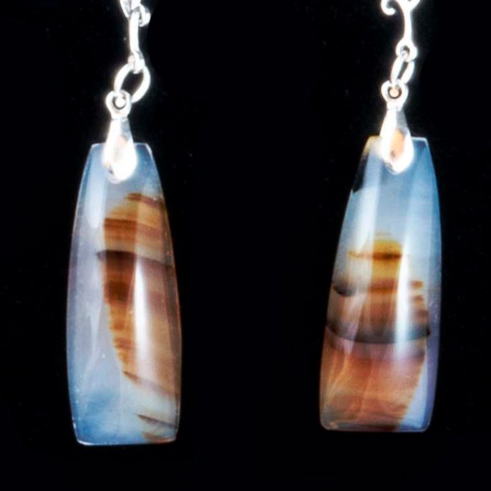 Montana Moss Agate Earrings