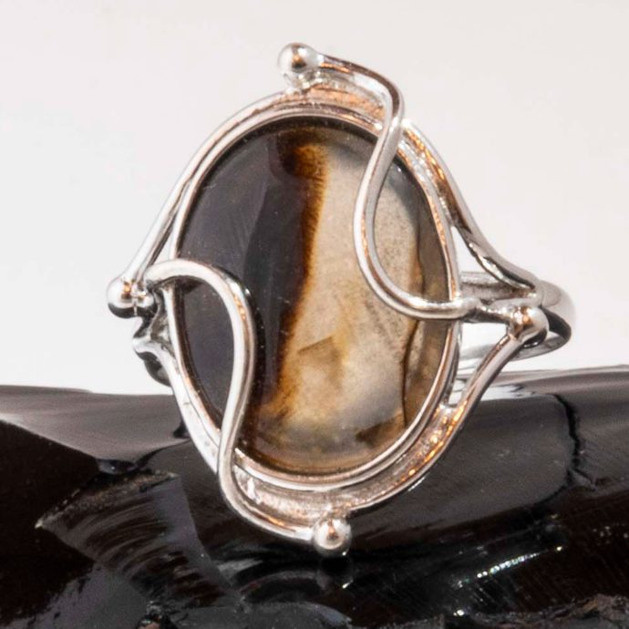 Montana Moss Agate Ring