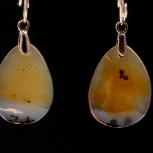 Montana Moss Agate Earrings