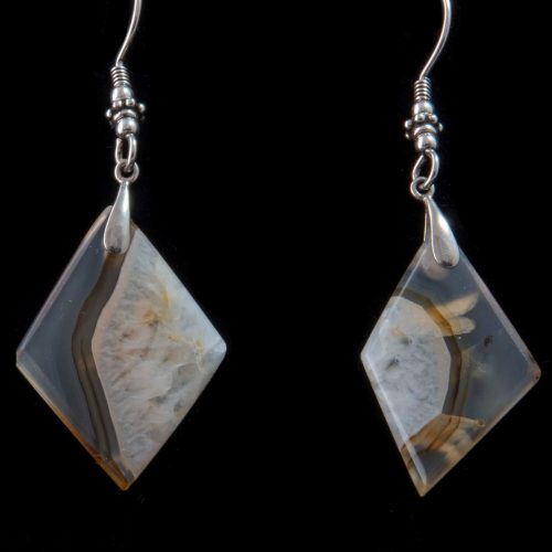 Montana Moss Agate Earrings