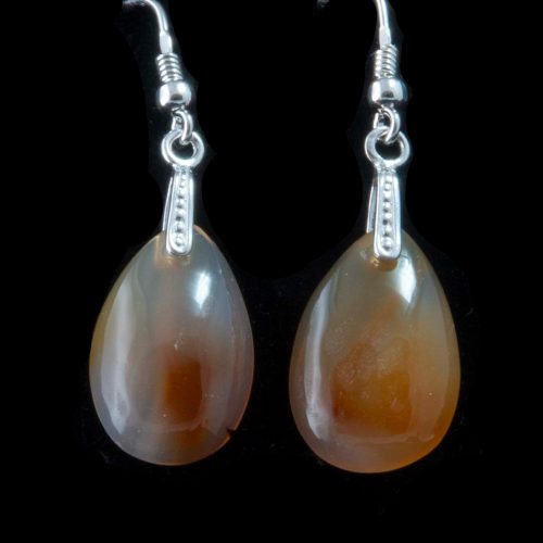 Montana Moss Agate Earrings