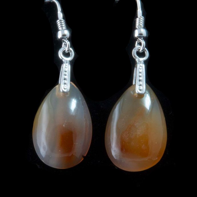 Montana Moss Agate Earrings