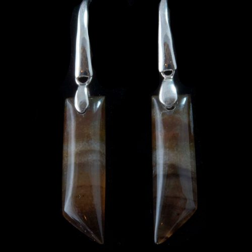 Montana Moss Agate Earrings