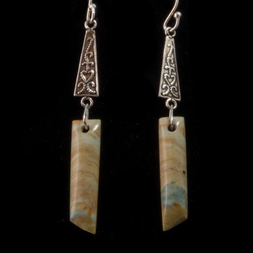 Arizona Petrified Wood Earrings