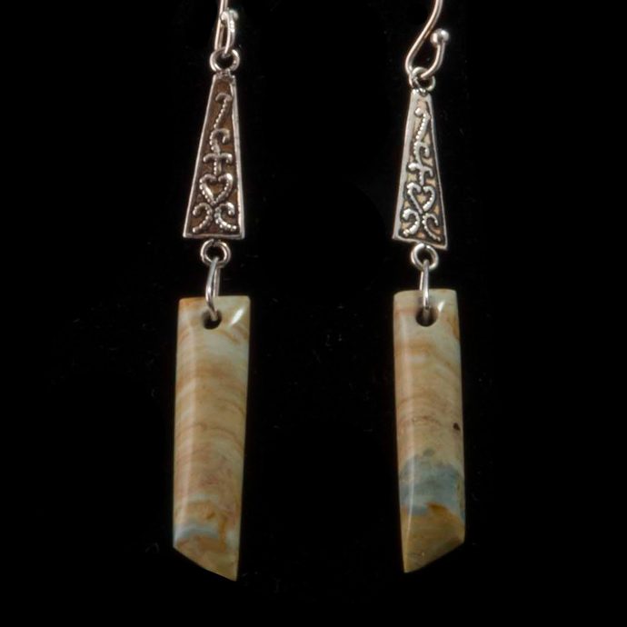 Arizona Petrified Wood Earrings