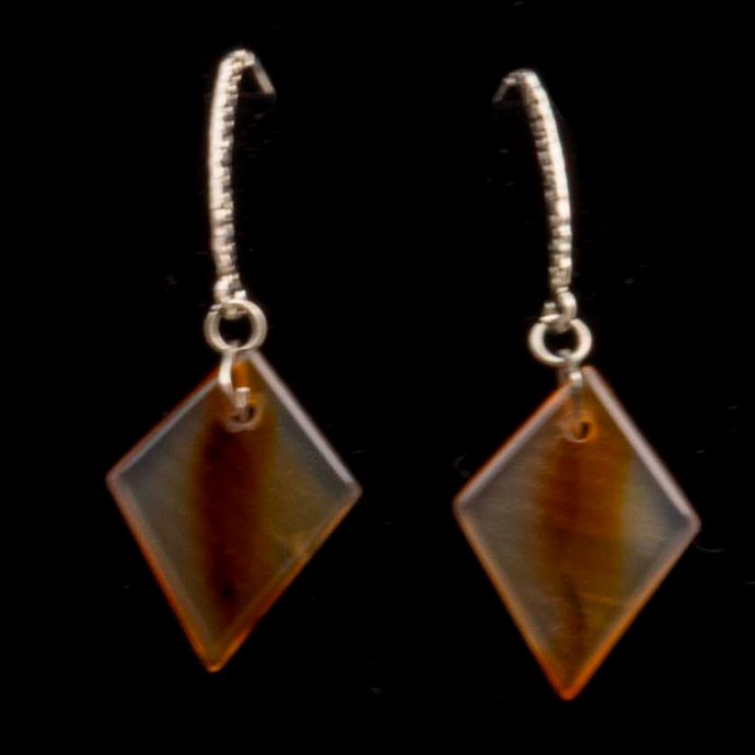 Montana Moss Agate Earrings