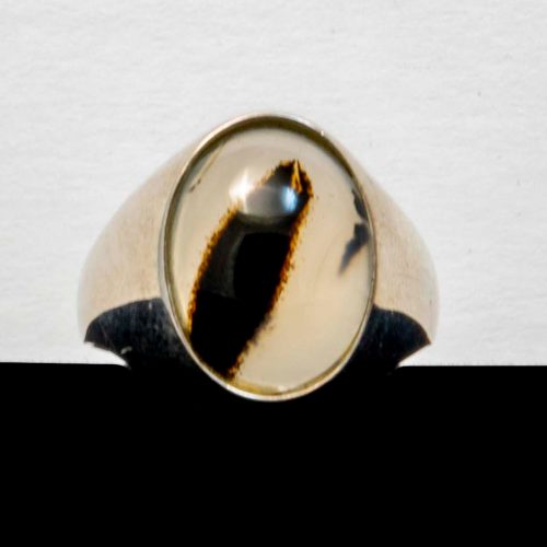 Montana Moss Agate Ring