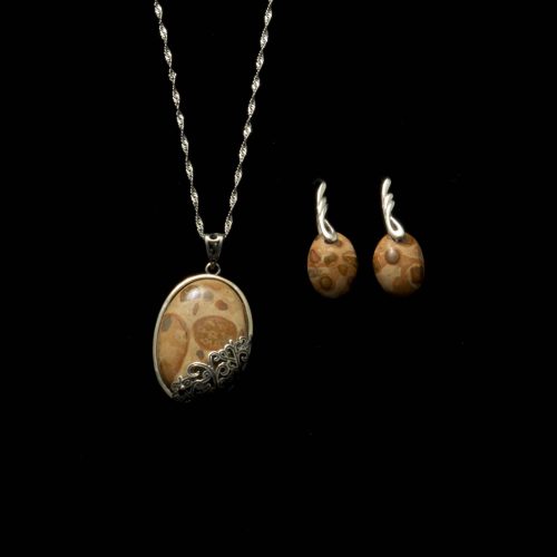 Fossil Stone Set