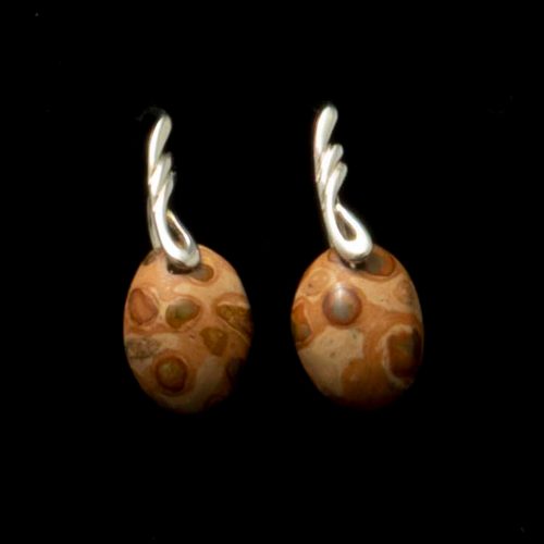 Fossil Stone Earrings