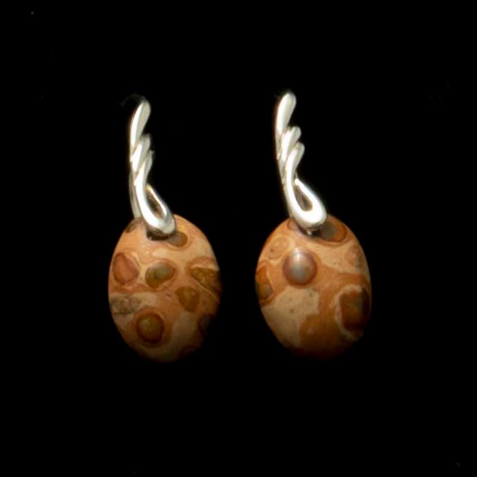 Fossil Stone Earrings
