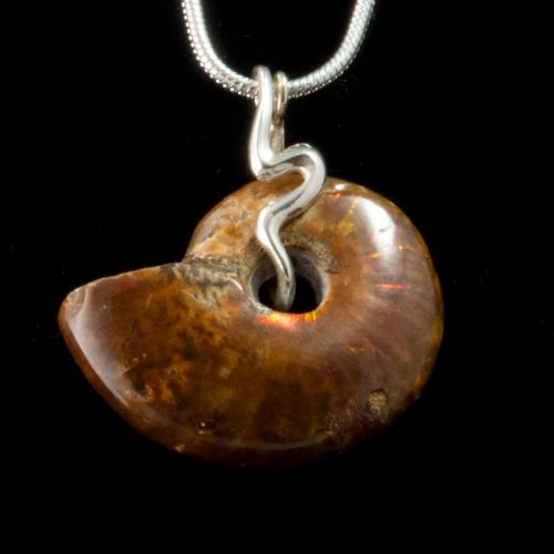 Ammonite Pendant