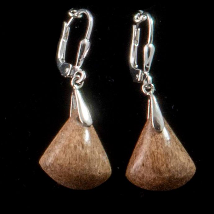 Dinosaur Bone Fossil Earings
