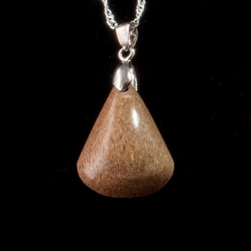Dinosaur Bone Fossil Pendant