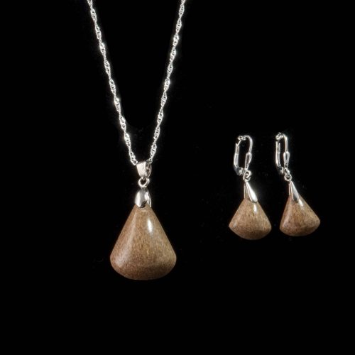 Dinosaur Bone Fossil Set