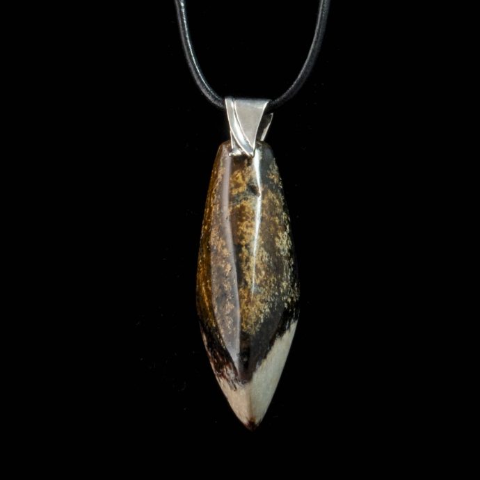Dinosaur Bone Fossil Pendant