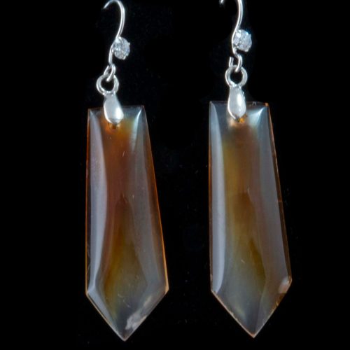 Montana Moss Agate Earrings