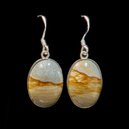 Picture Jasper Earrings